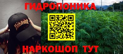 ГАЛЛЮЦИНОГЕННЫЕ ГРИБЫ Гусиноозёрск