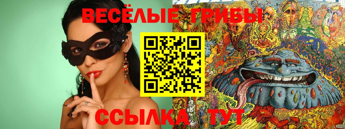 Галлюциногенные грибы Psilocybine cubensis Изобильный